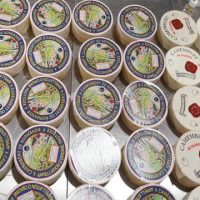Queijo Frances camembert