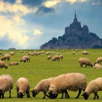 Tour Mont Saint Michel