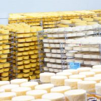 visitar fabrica queijo frances