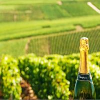 Champagne Private Tour