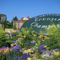Visitar Epernay - Roteiro privativo Champagne