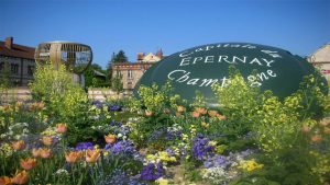 Visitar Epernay - Roteiro privativo Champagne