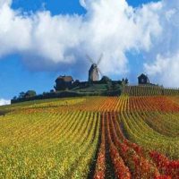 champagne tour