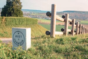 Passeio Vinhedo Moet e Chandon Português