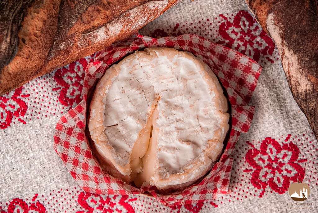 Queijo Camembert Normando